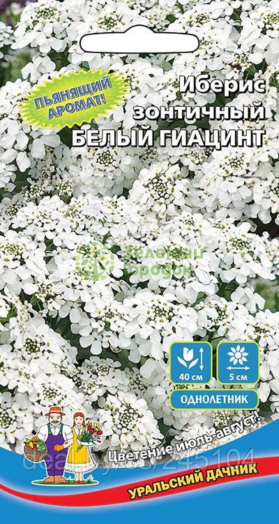 Иберис зонтичный Белый Гиацинт УД 0,15г