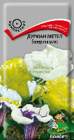 Дурман Метел Балерина микс (ЦВ) 3шт