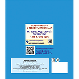 Дневник ученика V-XI классов, ИП, А5, фото 2