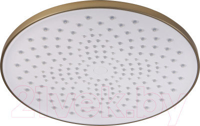 Комплектующие для душевых гарнитуров