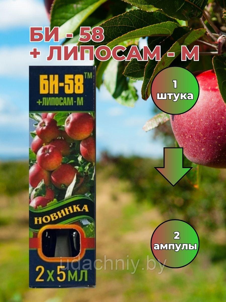 Средство от вредителей БИ -58. 2*5 мл.