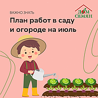 План работ в саду и огороде на июль.