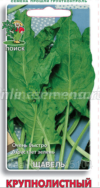 Щавель Крупнолистный (ЦВ) 0,5г