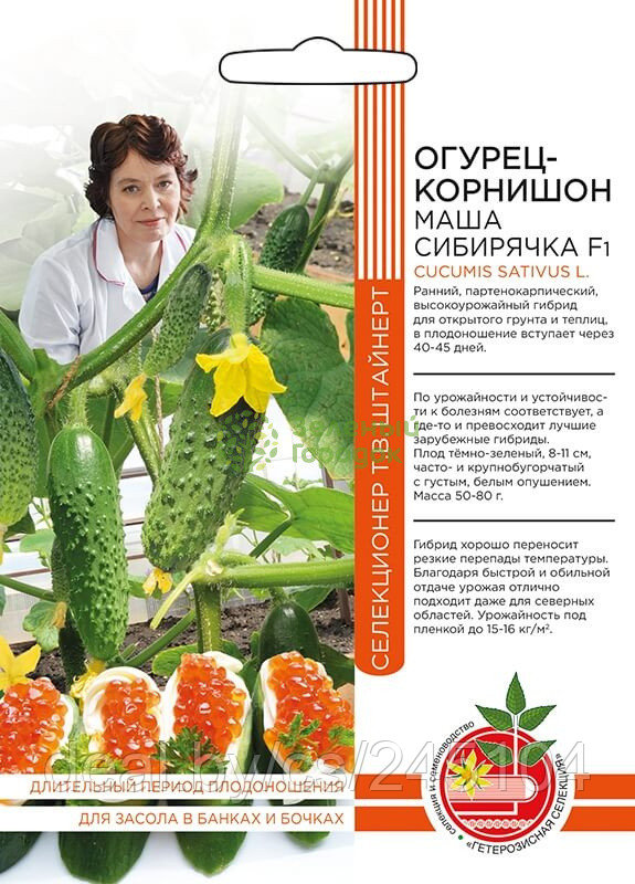 Огурец Маша Сибирячка корнишон F1 УД Б/Ф 10шт