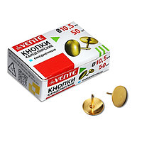 Кнопки канцелярские омедненные 10,5 мм, 50 штук, deVENTE, в картонной коробке