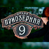 Адресная табличка в виде подковы на счастье, фото 2