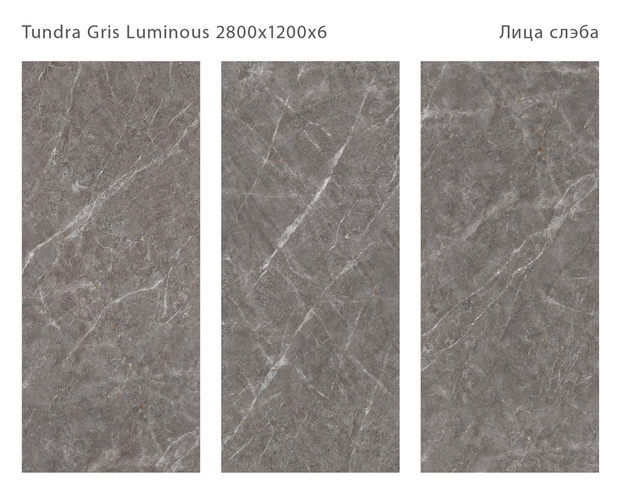 tundra_gris_all.jpg