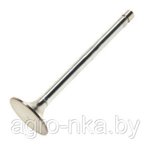 Клапан впускной большой Д-245, Д-260 260-1007014-А1