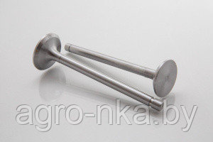 Клапан впускной (Д-48мм) 240-1007014-Б9