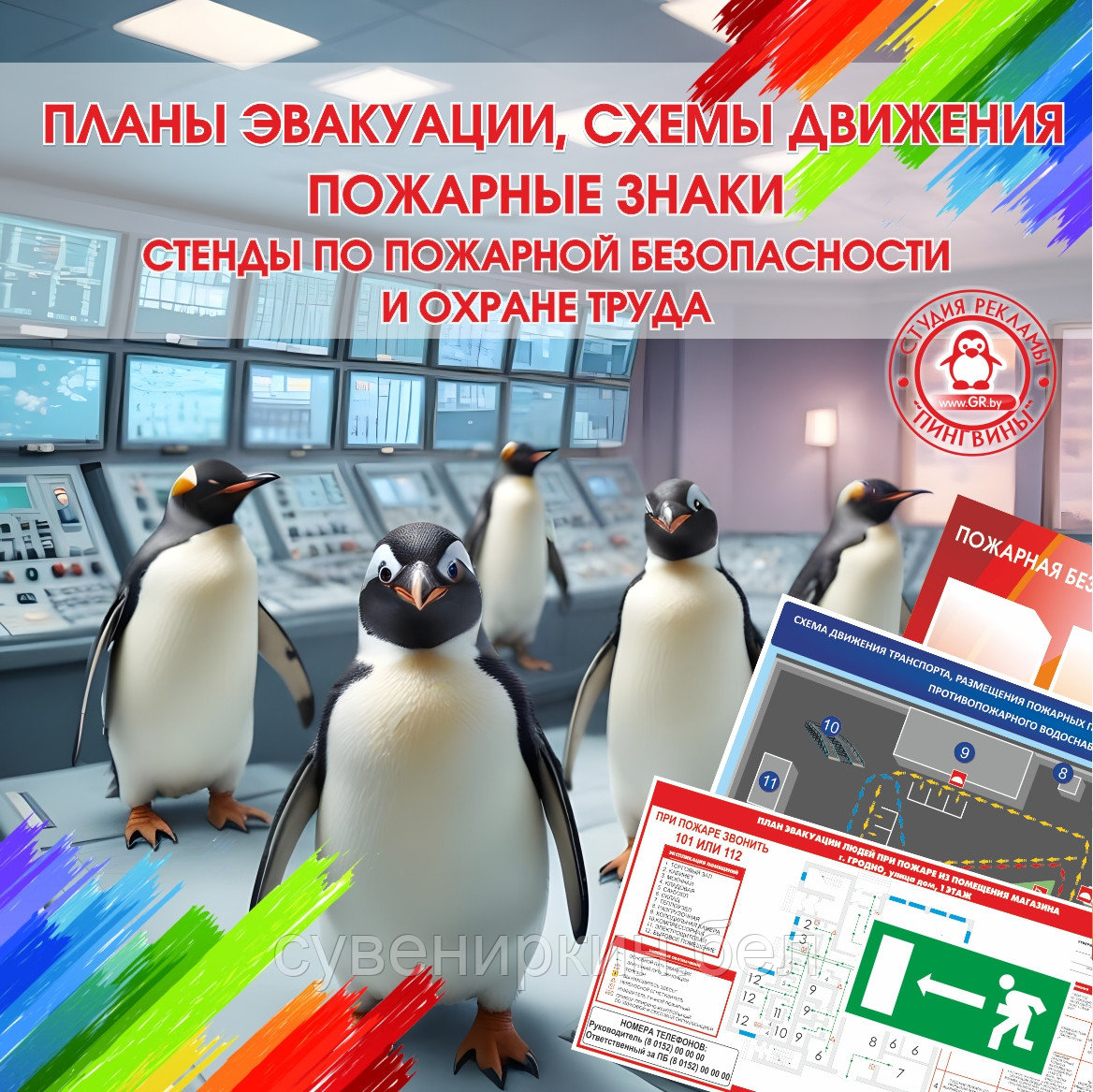 Планы эвакуации при пожаре (электронный вариант)