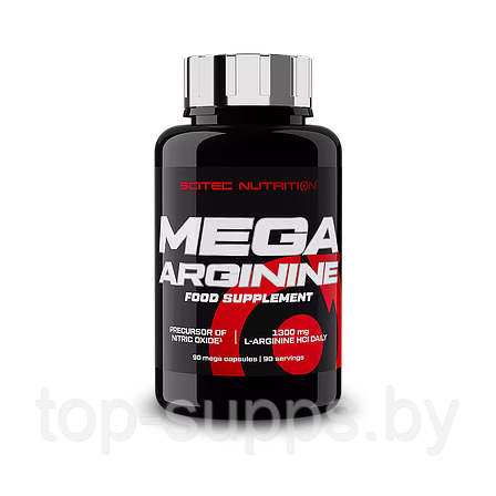 Scitec Nutrition BuPNQNyQjl88235cFfljX3, фото 2