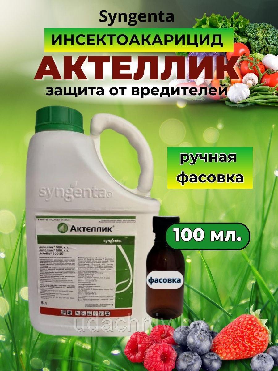 Средство от вредителей Актеллик 100 мл