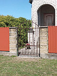 Кованые ворота №3, фото 3