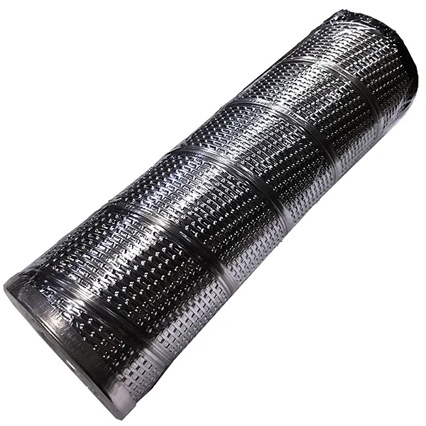 Фильтрэлемент 8MR6303A10AP01