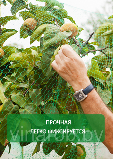 Сетка для защиты от птиц "GB NET" 4*100 м..