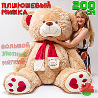 Плюшевый мишка 200 см Кельвин Кофейный Большой медведь