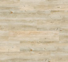 ALASKA OAK