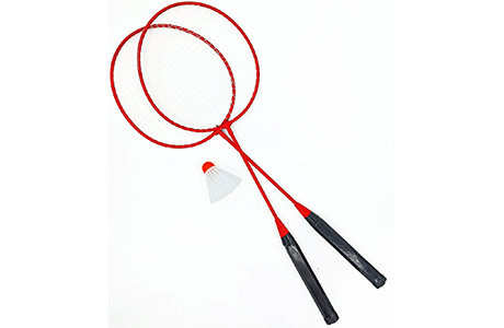 Набор для игры в бадминтон Fora , арт.TL12