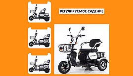 Электрический трицикл SHTENLI Model 31 SLA 12 Ач (20 Ач), фото 2
