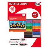 Пластилин МУЛЬТИКИ, 12 цв., 240г, со стеком картонная коробка, фото 2