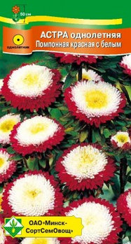 Астра однолетняя Помпонная красная с белым