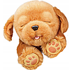 Интерактивная игрушка Щенок моей мечты Little Live Pets 26448, фото 5