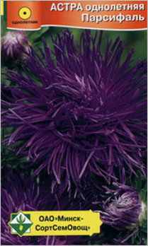 Астра однолетняя Парсифаль