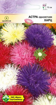 Астра однолетняя Харц смесь