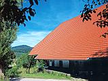 Двухжелобчатая черепица Nelskamp D 15 Ü (натуральный красный), фото 8