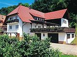 Двухжелобчатая черепица Nelskamp NIBRA DS 10 (натуральный красный), фото 3