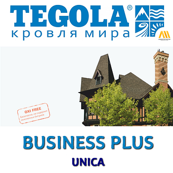 Коллекция TEGOLA BUSINESS PLUS UNICA