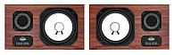 Студийные мониторы Avantone CLA-10A Limited Edition