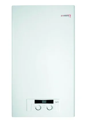 Газовый котел Protherm Lynx HK 24 (РЫСЬ), фото 2