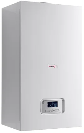 Газовый котел Protherm ПАНТЕРА 25 KOV, фото 2
