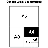 Альбом для рисования 48л., А4, на склейке ArtSpace "Путешествия. Bright journey", фото 8