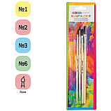 Набор кистей ArtSpace 4шт., Пони, круглые № 2, 3, плоские № 4, 6, блистер, европодвес, фото 2