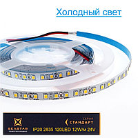 Светодиодная лента 12W/м 24V  6500К 5м. IP20 2835 120LED  холодный