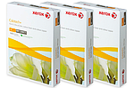 Бумага Xerox Colotech Plus: всё, что вам нужно знать