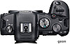Беззеркальный фотоаппарат Canon EOS R6 Body + адаптер крепления EF-EOS R, фото 3