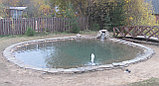 Строительство прудов, водоемов, фонтанов, Минск , фото 4