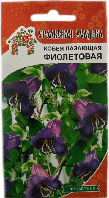 Кобея лазающая Фиолетовая УУ