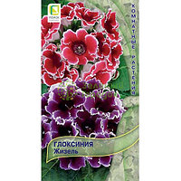 Глоксиния Жизель 5шт