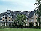 Плоская "голландская" черепица Nelskamp NIBRA F 10 Ü (старинный черный ангоб), фото 5