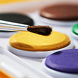 Краски акварельные DELI ColoRun, 12 цветов, с кистью, фото 8