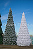Сосна каркасная "Уральская" (уличная ель), фото 4