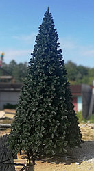 Ель уличная Афия (уличная ель), ствольная