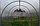 Теплица 4-х метровая "Садовод Мини" (оцинкованная труба 20х20мм, шаг 1 м между дугами+поликарбонат), фото 2