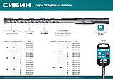 СИБИН 6 х 260 мм, SDS-plus бур (29312-260-06), фото 6
