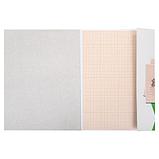 Бумага масштабно-координатная (миллиметровая), папка, А4, оранжевая, 10 листов, 65 г/м2, STAFF, 113484, фото 3