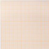 Бумага масштабно-координатная (миллиметровая), папка, А4, оранжевая, 10 листов, 65 г/м2, STAFF, 113484, фото 5